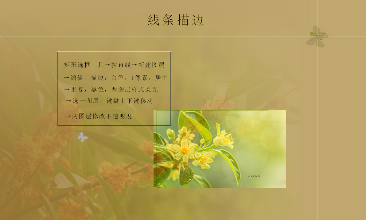 zuoye5.jpg