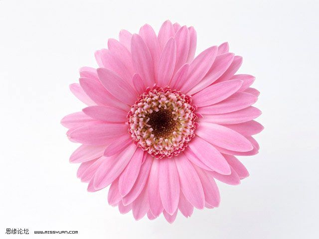 cd5d11b4df2326d337d3ca2a.jpg