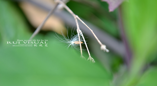 DSC_2672.jpg