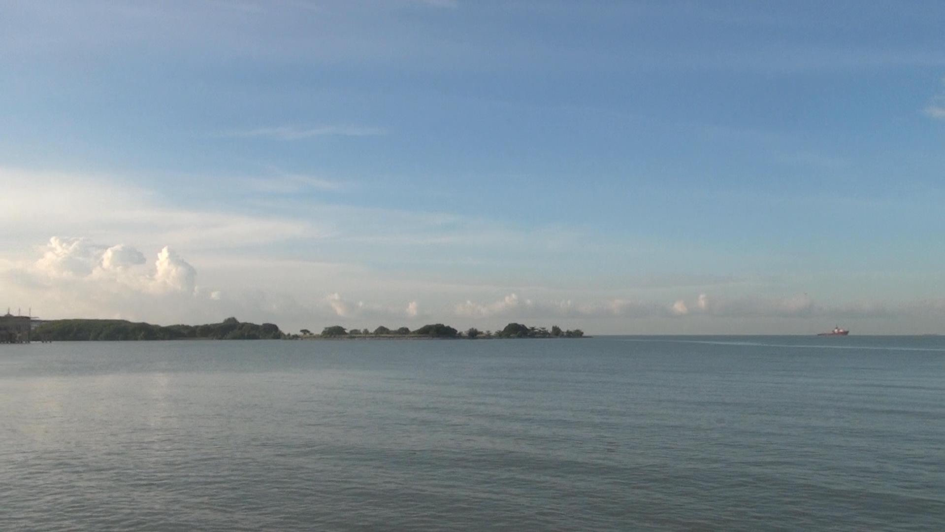 00238_2011102511330.jpg