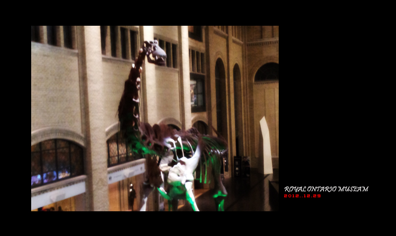 royal ontario museam 01.jpg
