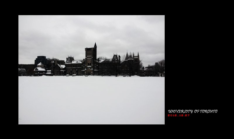 university of toronto 01.jpg