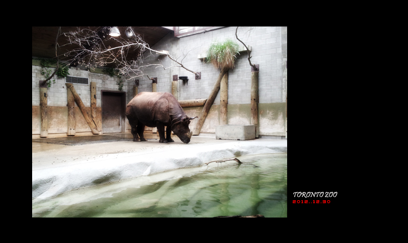 toronto zoo 01.jpg