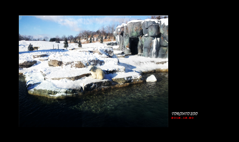 toronto zoo 03.jpg