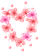 xsgs_17001.gif