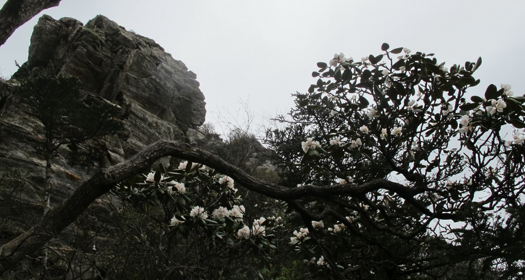 ��ˮ��ž黨 109.jpg