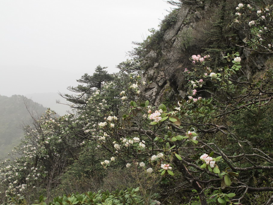 ��ˮ��ž黨 073.jpg