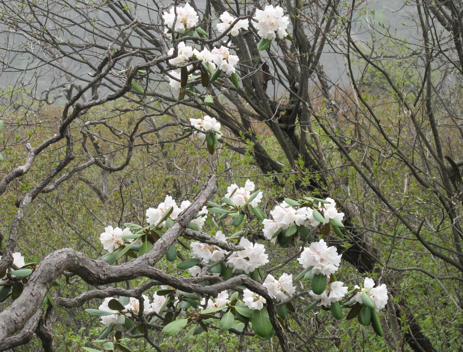 ��ˮ��ž黨 121.jpg