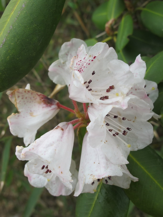 ��ˮ��ž黨 168.jpg