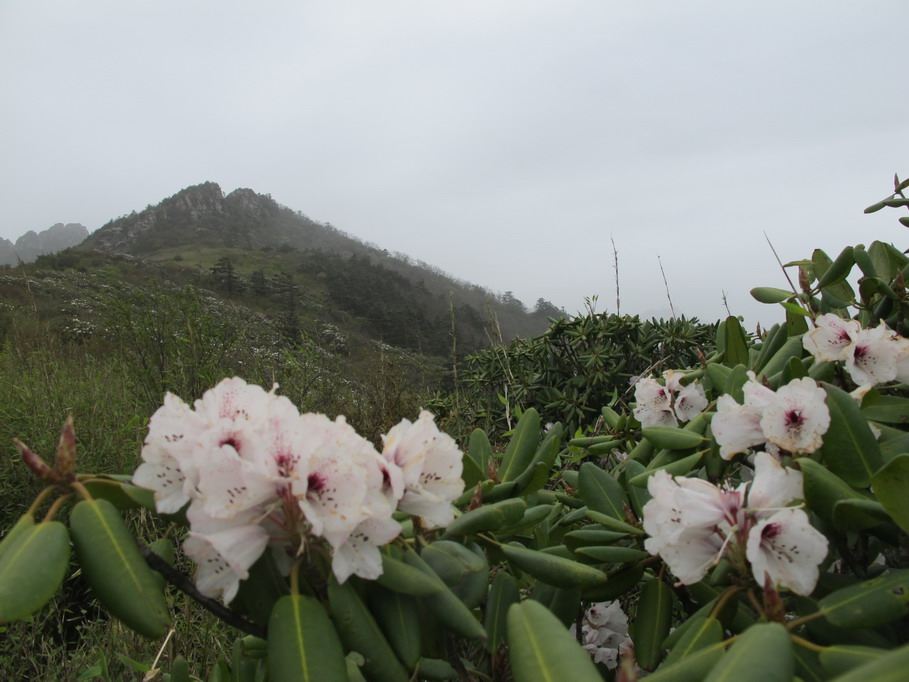 ��ˮ��ž黨 155.jpg