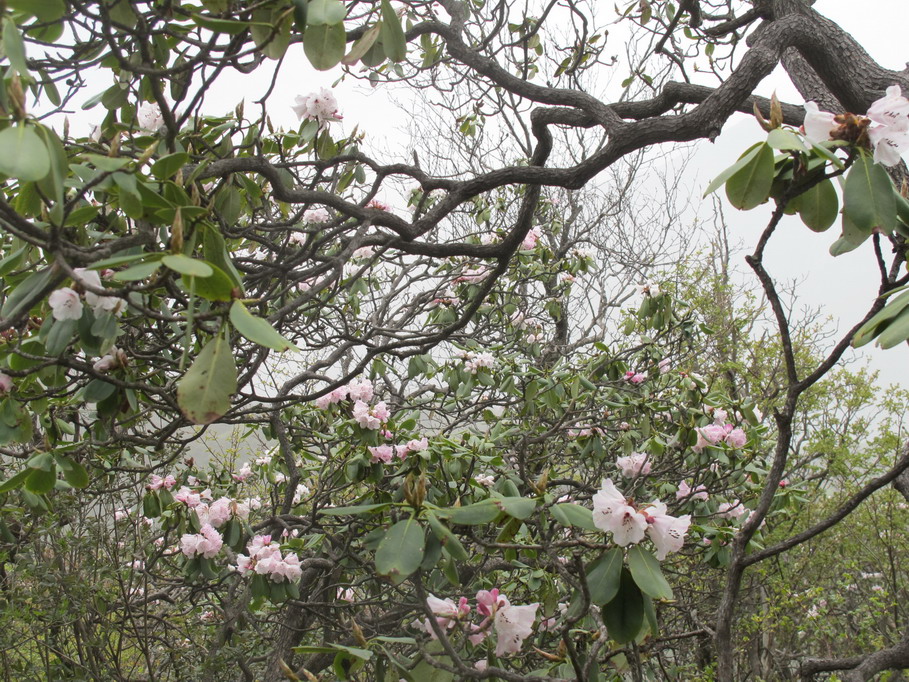 ��ˮ��ž黨 127.jpg