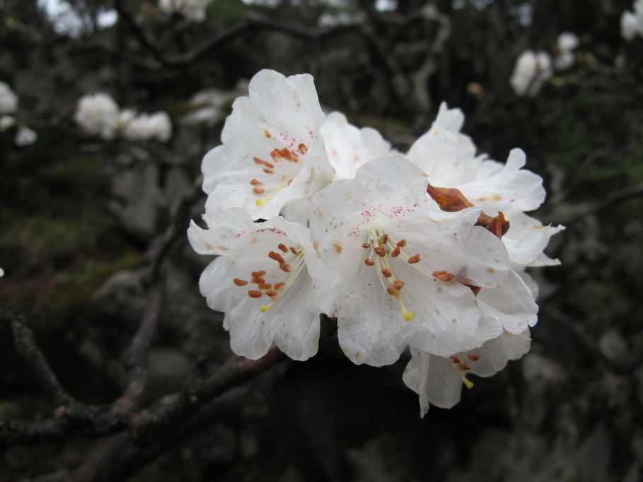 ��ˮ��ž黨 065.jpg