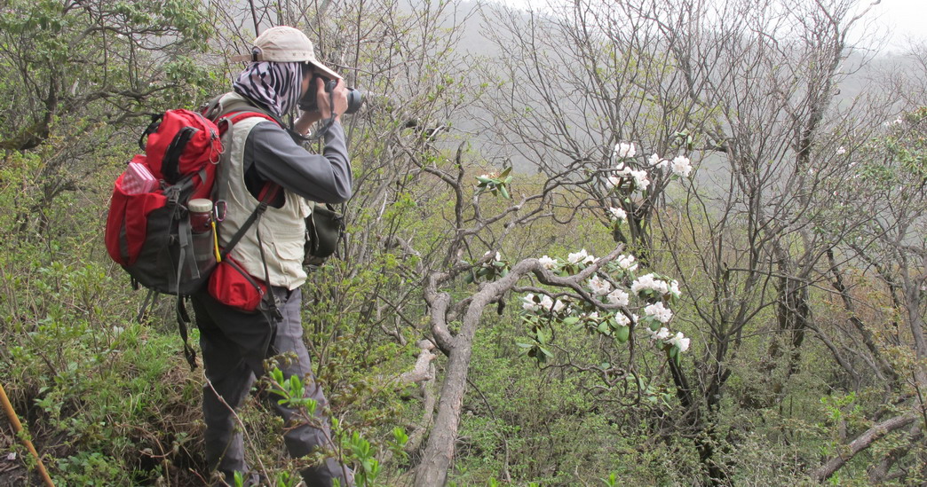 ��ˮ��ž黨 118.jpg