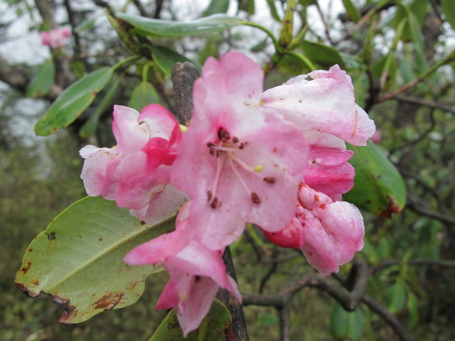 ��ˮ��ž黨 033.jpg